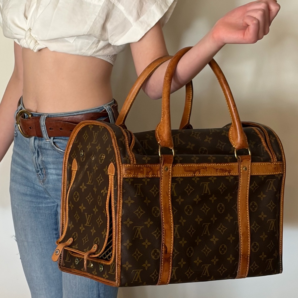 Rare Vintage Louis Vuitton Sac Chien 40 Canvas Pet Bag - Picture 2 of 16